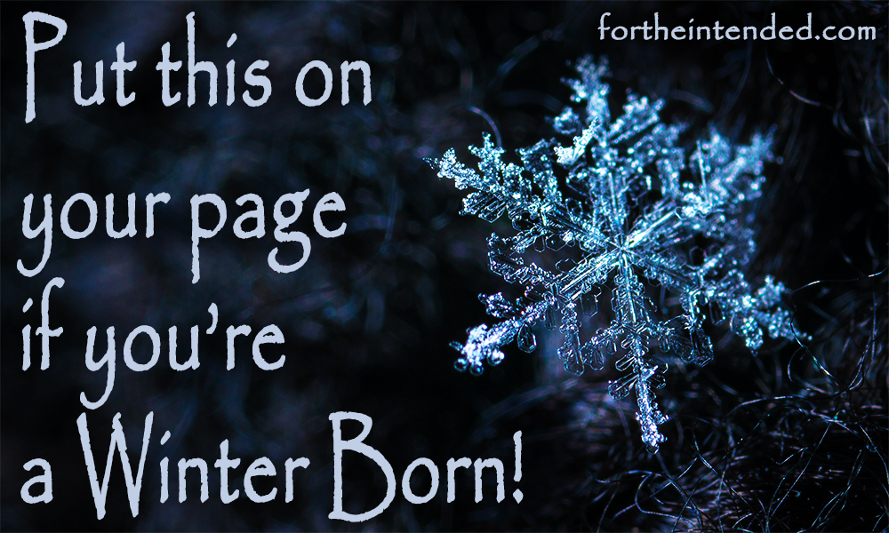 winter-born-howrse.jpg